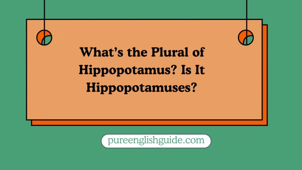 What’s the Plural of Hippopotamus