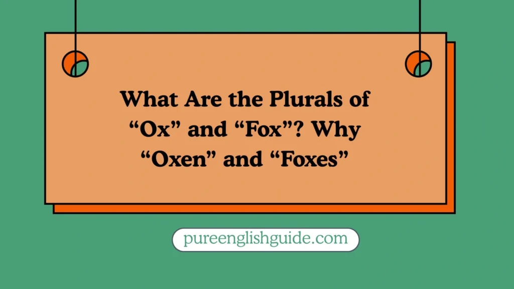 What Are the Plurals of “Ox” and “Fox