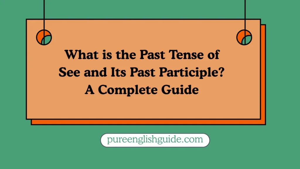 What is the Past Tense of See and Its Past Participle
