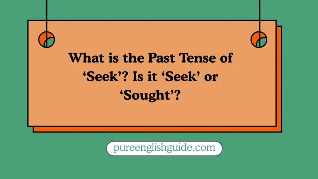 What is the Past Tense of ‘Seek’
