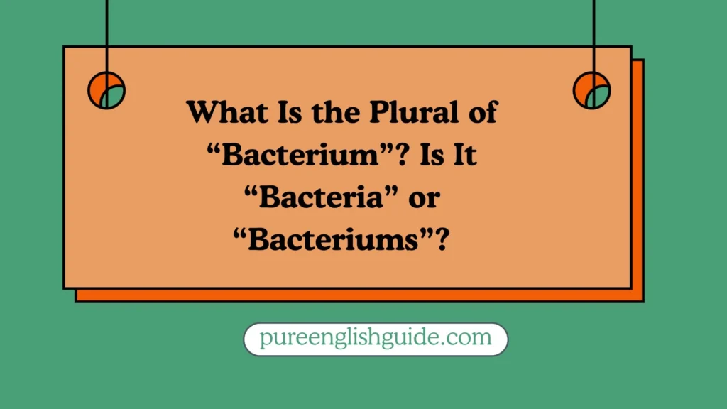 What Is the Plural of “Bacterium”