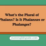 What’s the Plural of Phalanx