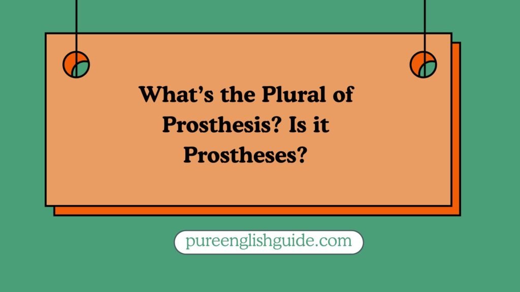 What’s the Plural of Prosthesis