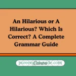 An Hilarious or A Hilarious