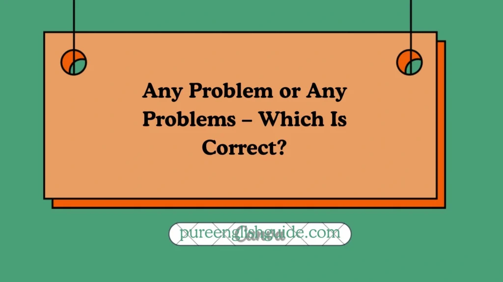 Any Problem or Any Problems – Which Is Correct?
