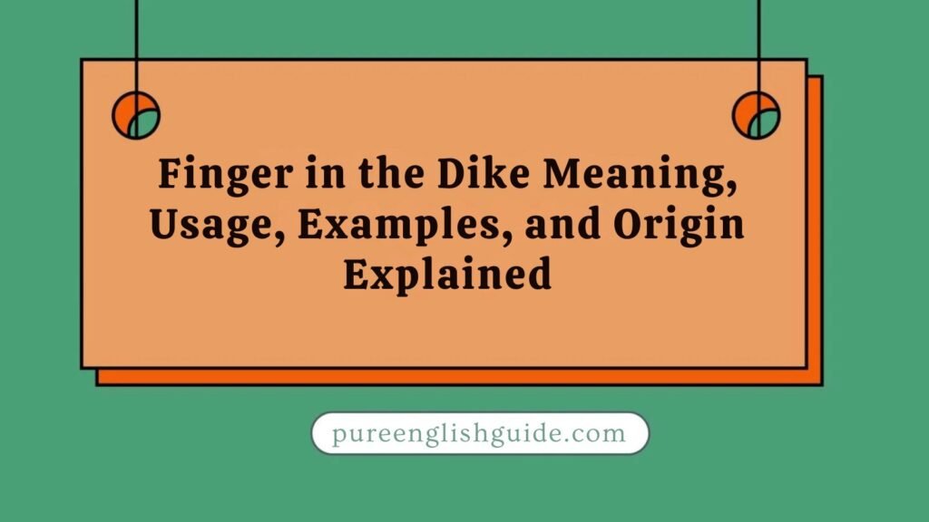 Finger in the Dike Meaning, Usage, Examples, and Origin Explained