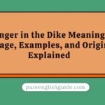 Finger in the Dike Meaning, Usage, Examples, and Origin Explained