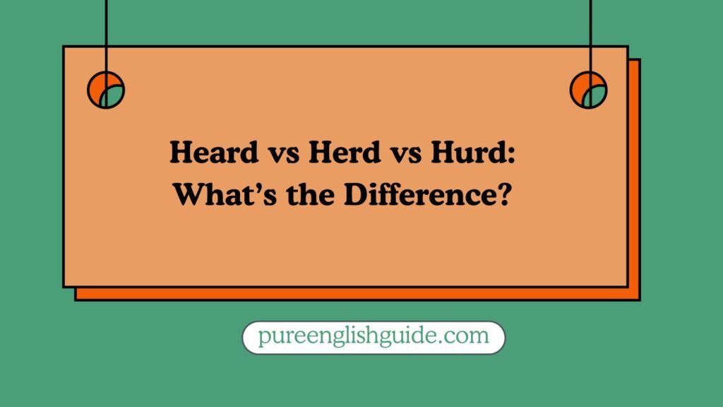 Heard vs Herd vs Hurd