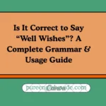 Is It Correct to Say “Well Wishes”? A Complete Grammar & Usage Guide