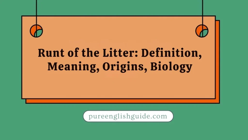 Runt of the Litter: Definition, Meaning, Origins, Biology