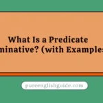 What Is a Predicate Nominative? (with Examples)