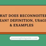 What Does Reconnoiter Mean